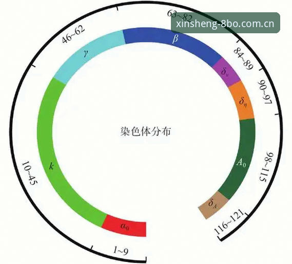 888体育官网投注的5大核心优势与3步操作指南